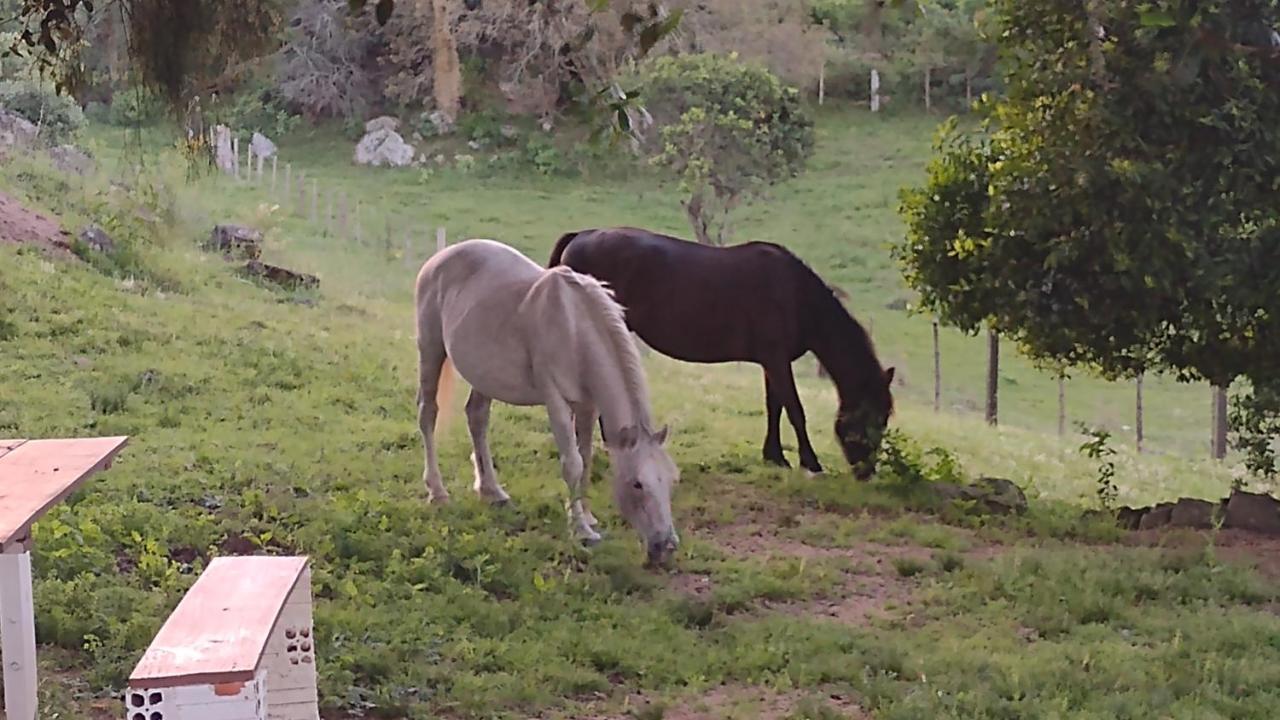 Casa & Chale Em Morro Redondo Rs Βίλα Εξωτερικό φωτογραφία